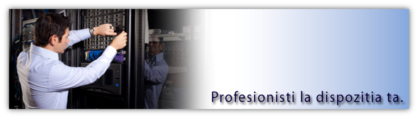 Profesionisti la dispozitia ta Profesionisti la dispozitia ta